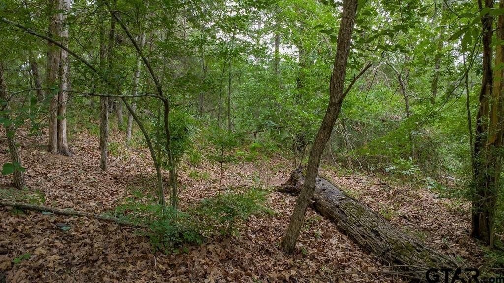 0.61 acres in Smith County - photo 12