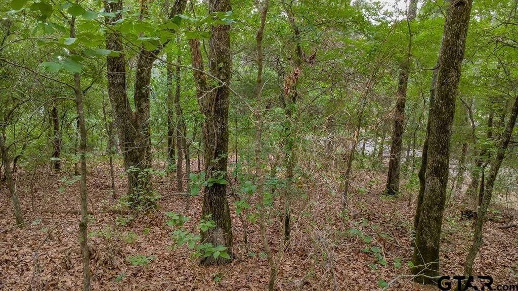 0.61 acres in Smith County - photo 14
