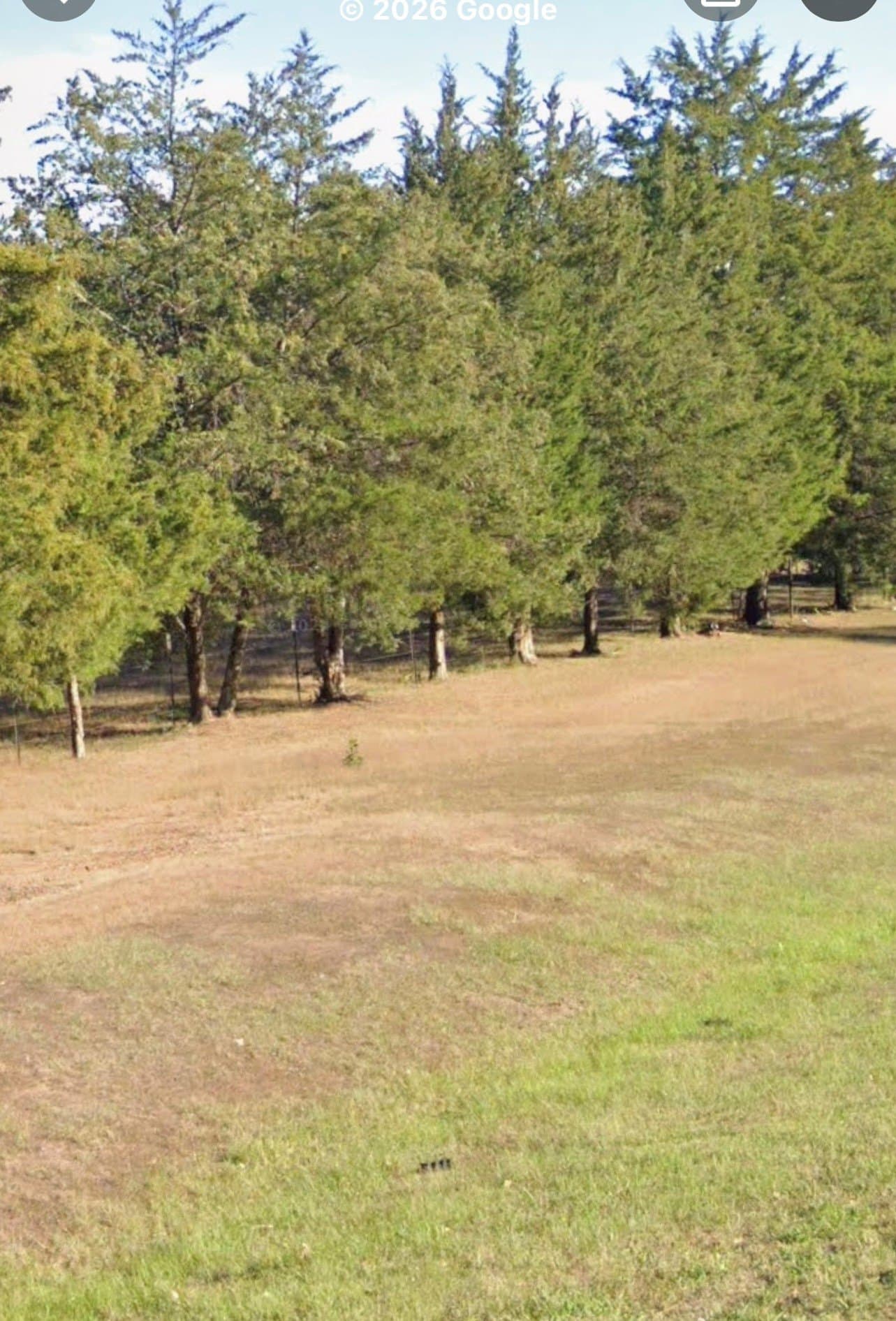 1.31 acres in Titus County