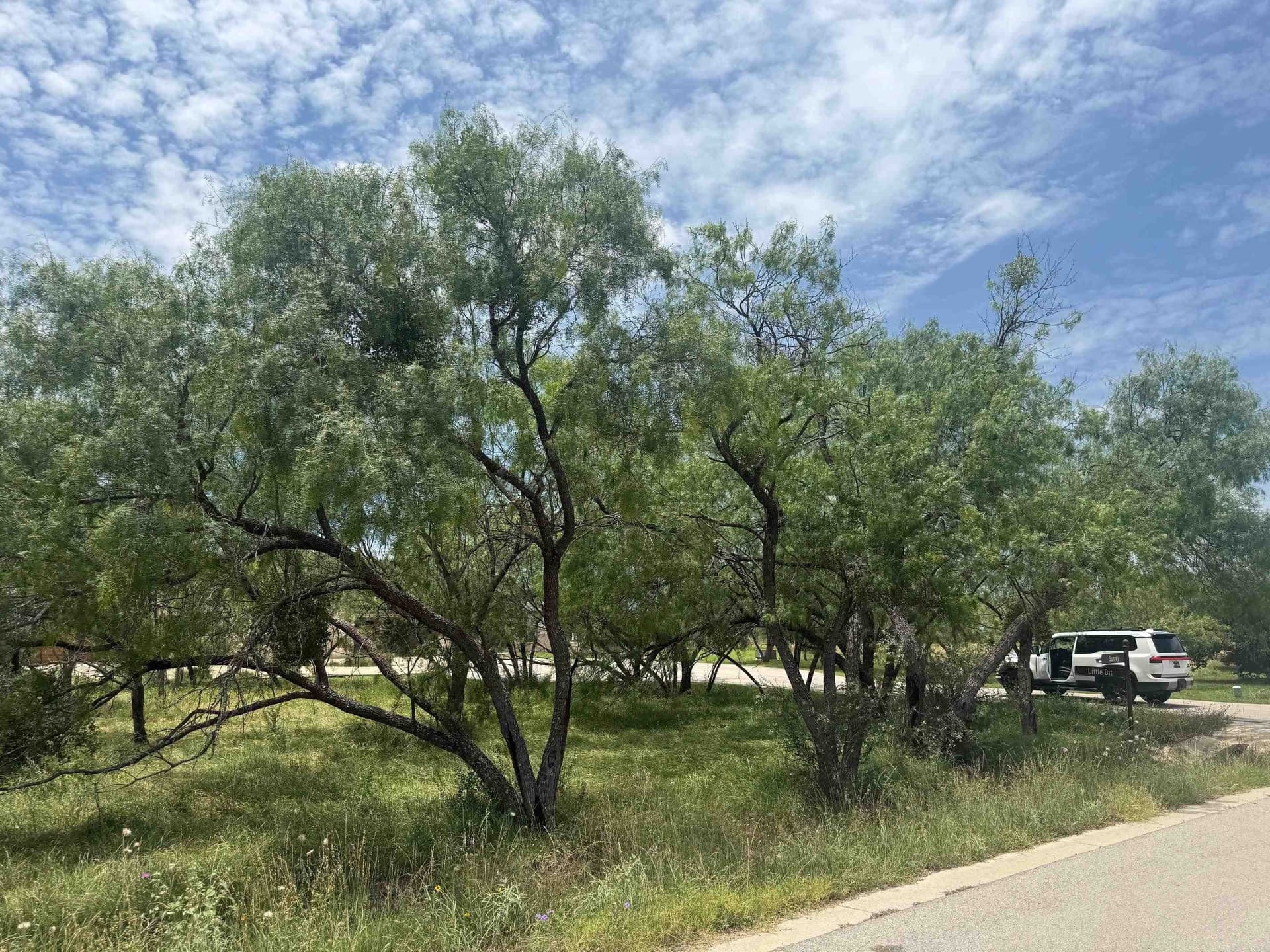 0.29 acres in Llano County gallery image 3