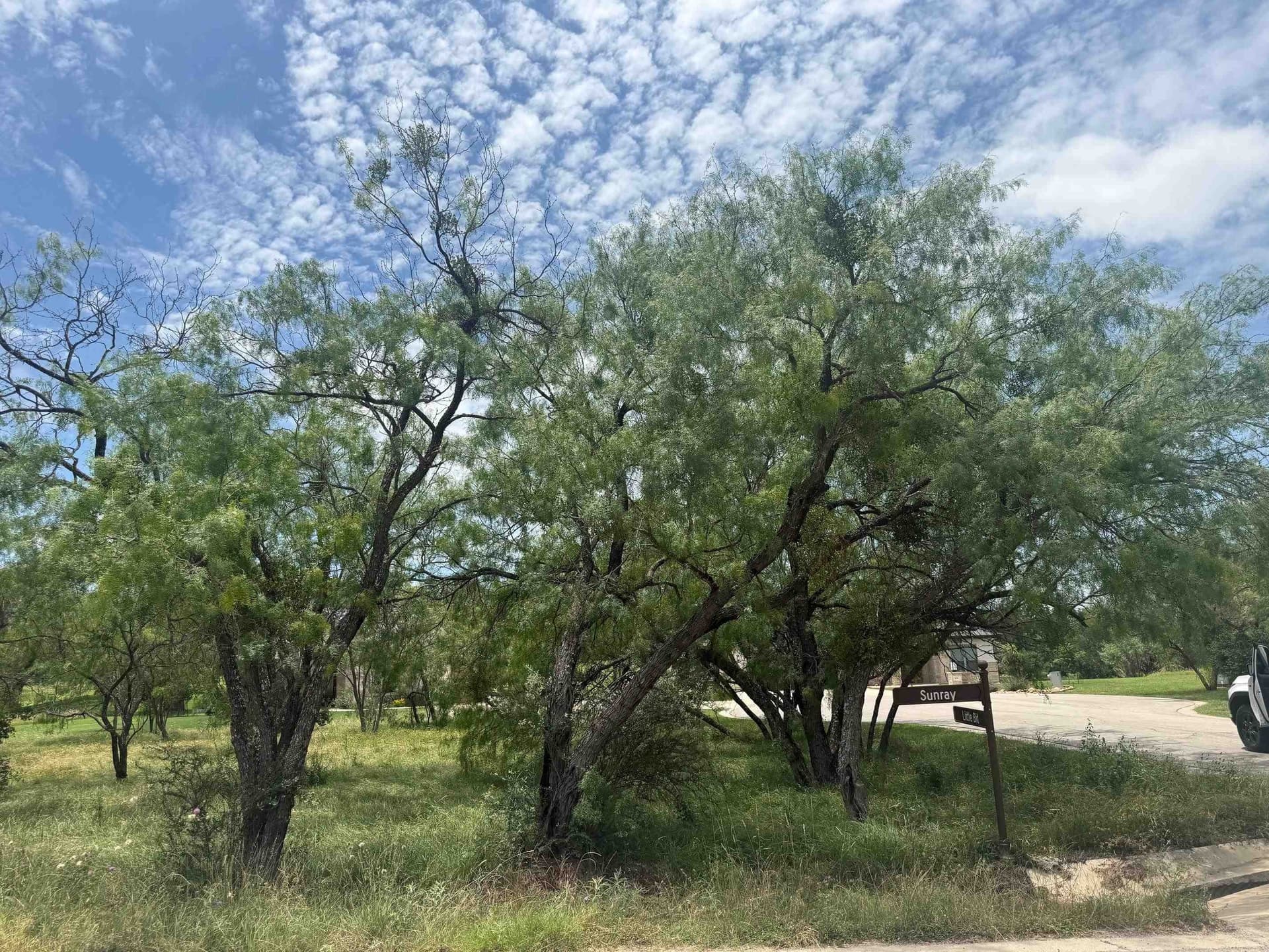0.29 acres in Llano County gallery image 2