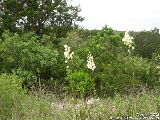 5.23 acres in Medina County - photo 6