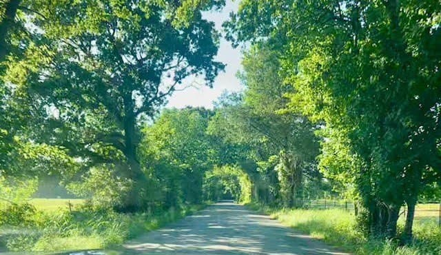 19.63 acres in Hunt County - photo 23
