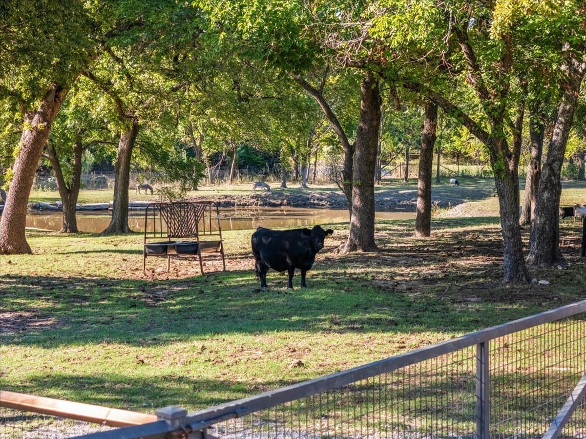 8 acres in Parker County - photo 34