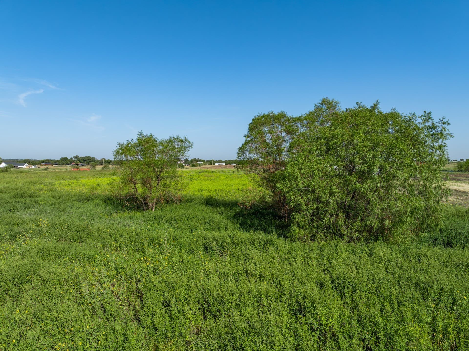 16.33 acres in Hill County - photo 20