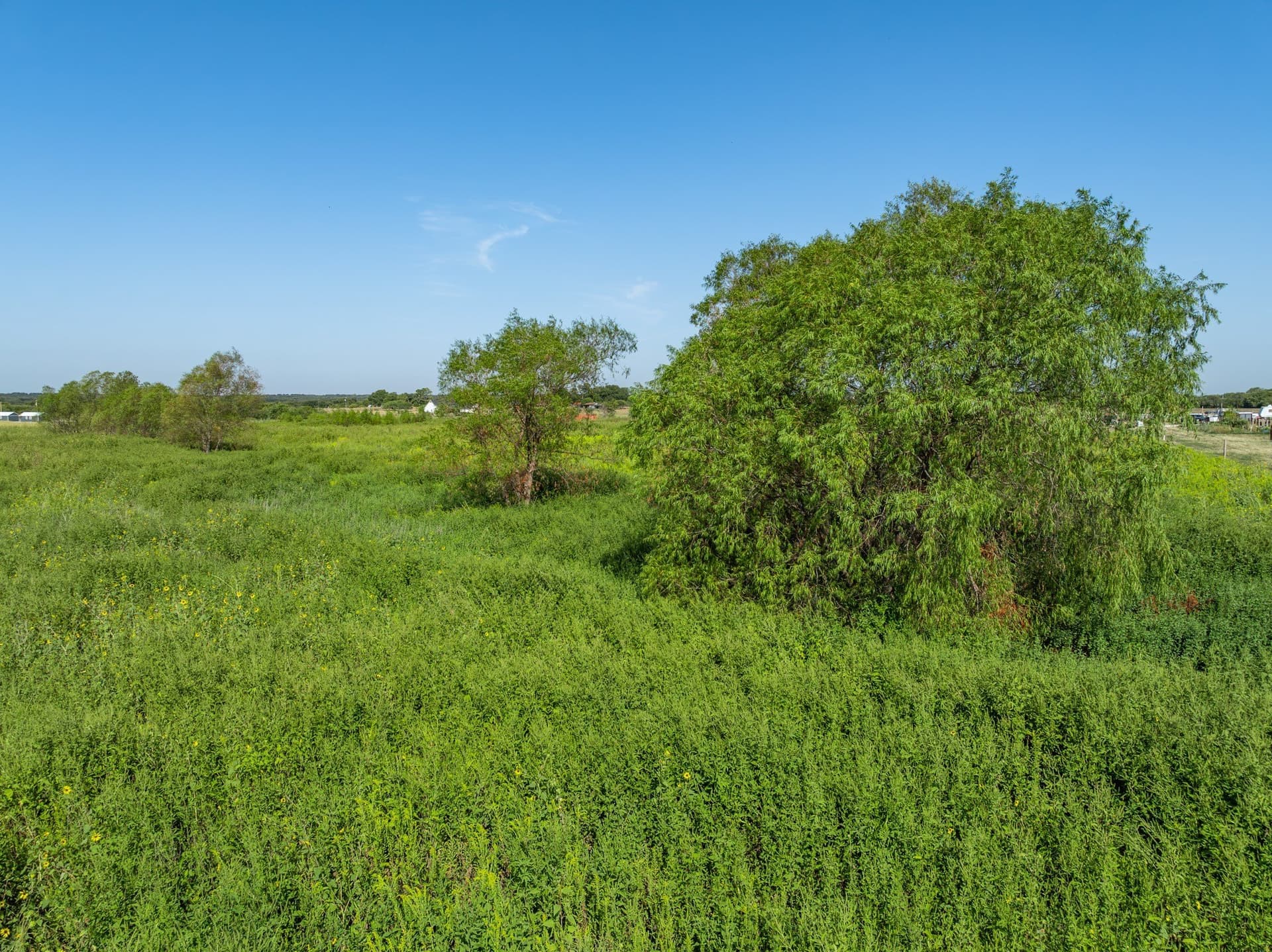 16.33 acres in Hill County - photo 21