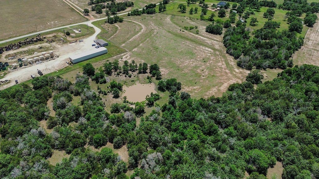16 acres in Lee County gallery image 4