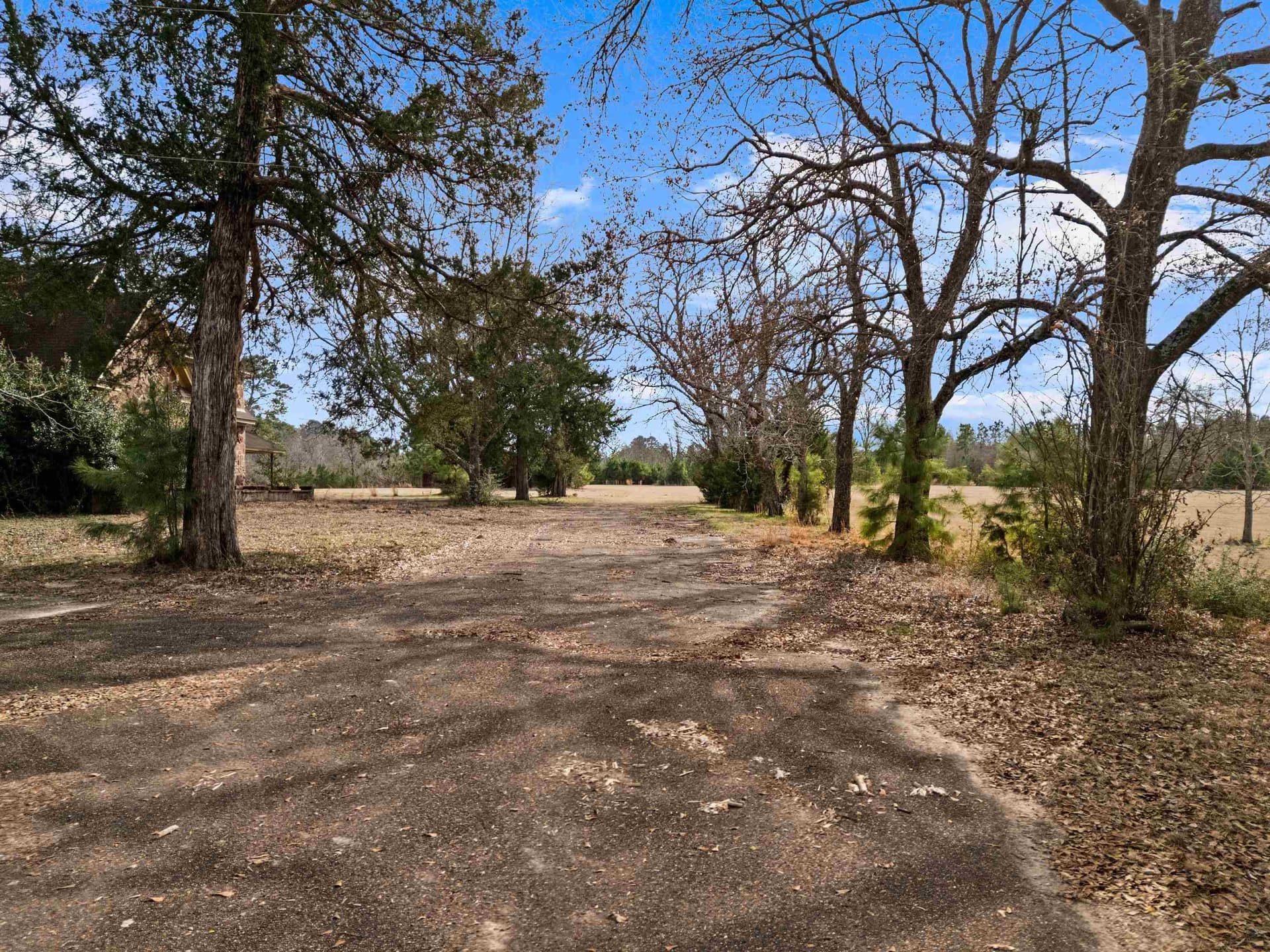 159.72 acres in Gregg County - photo 13