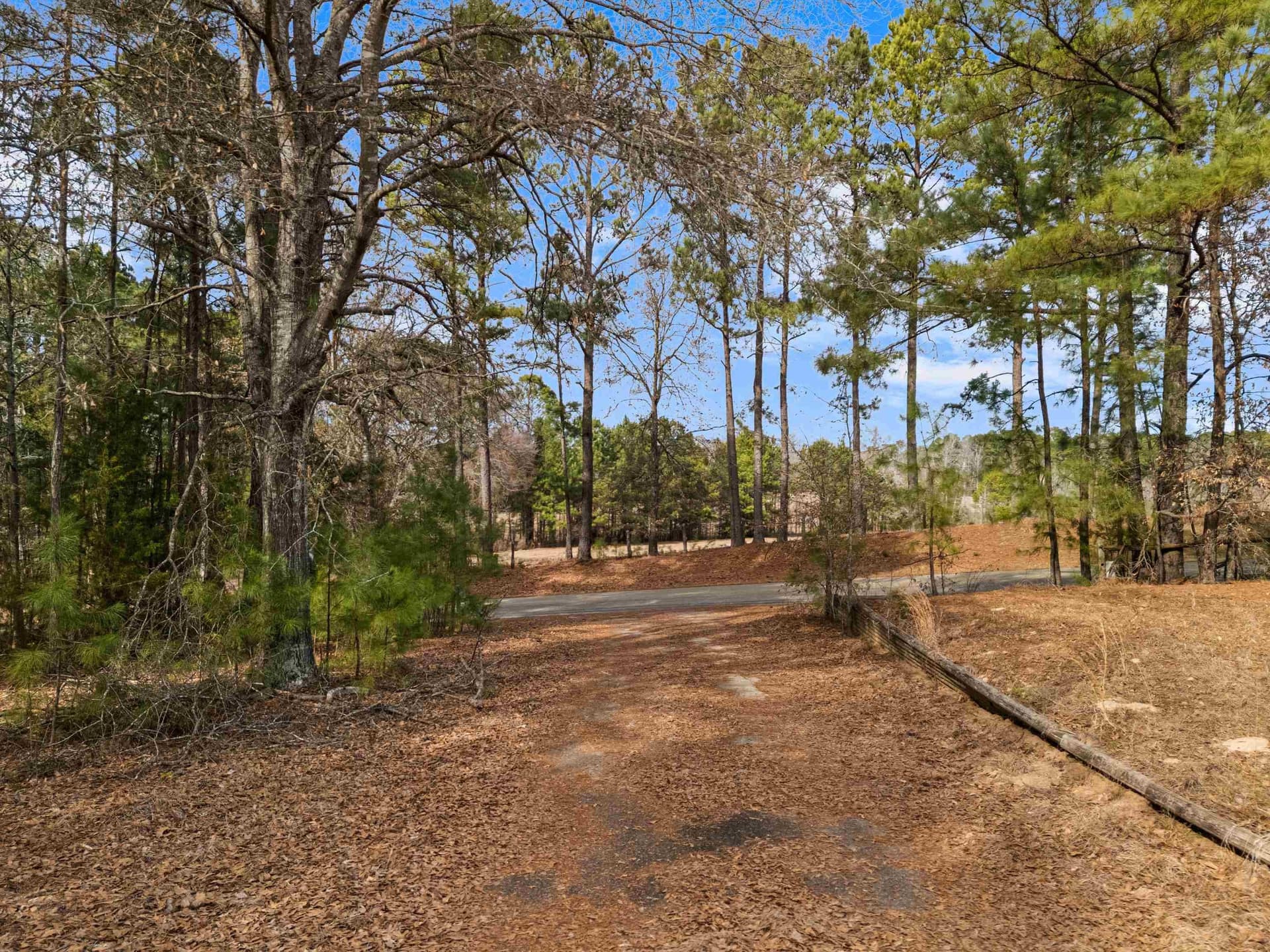 159.72 acres in Gregg County - photo 16
