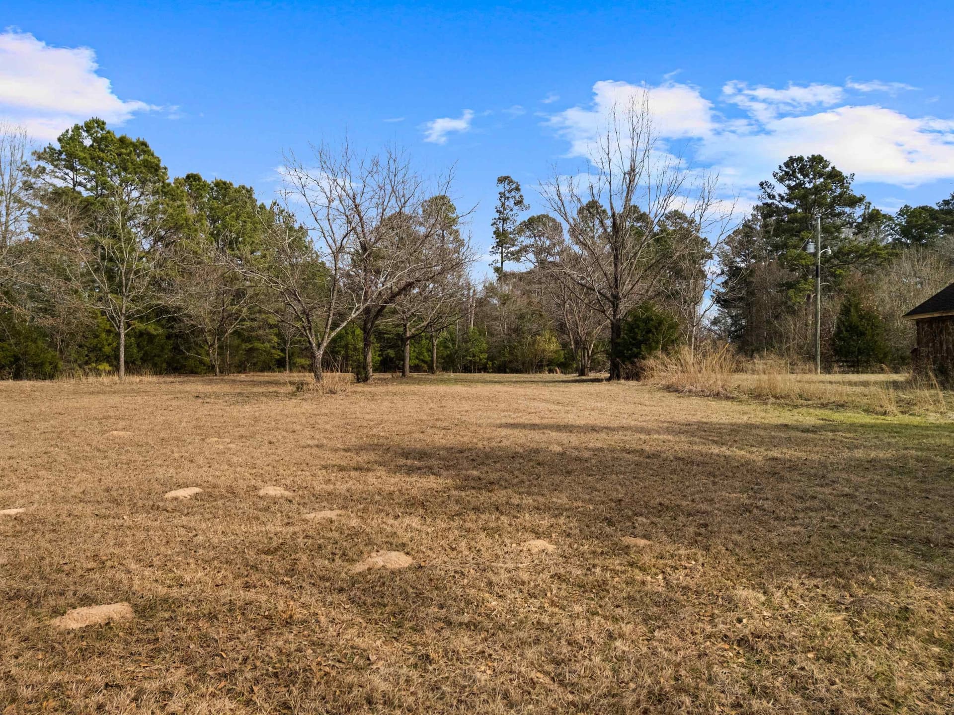 159.72 acres in Gregg County - photo 15