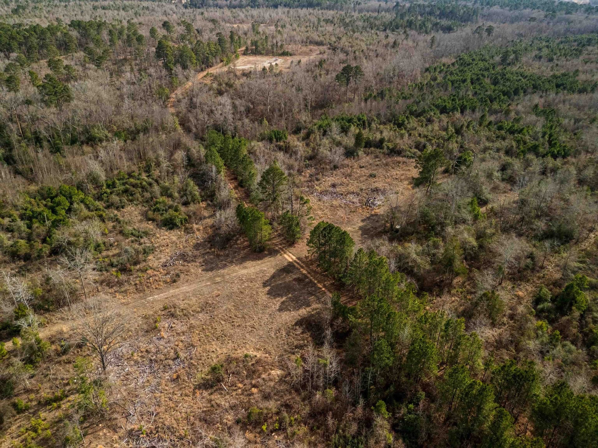 159.72 acres in Gregg County - photo 10