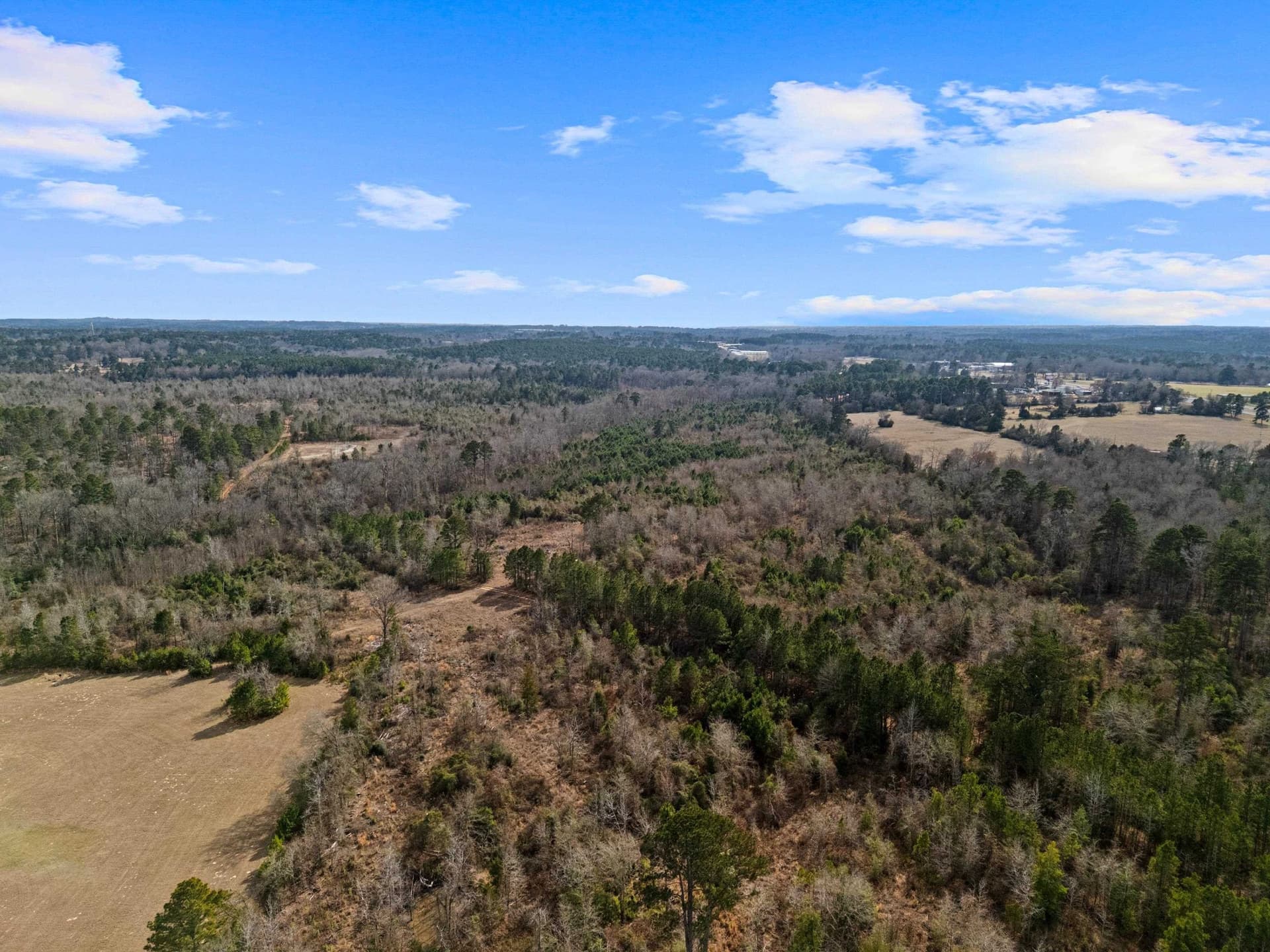 159.72 acres in Gregg County - photo 4