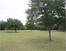 0.07 acres in Dallas County - photo 6