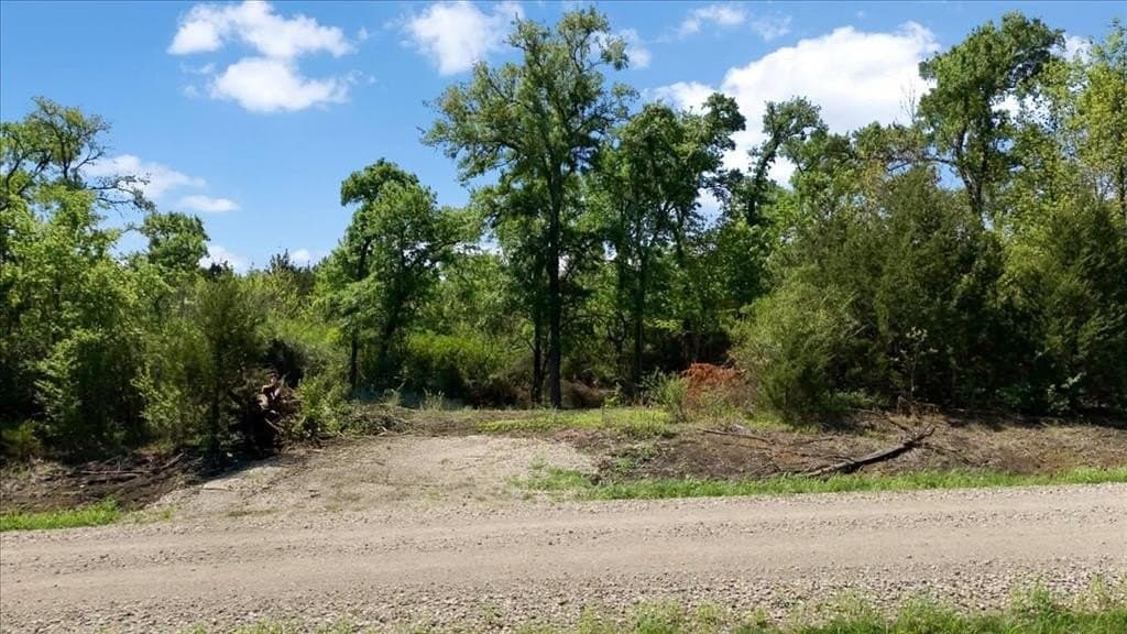 15 acres in Hunt County gallery image 3