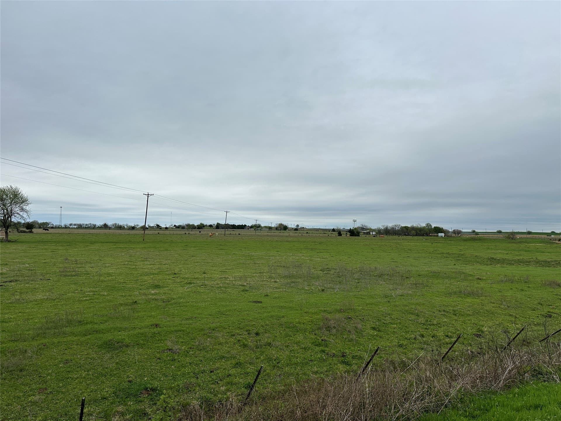 50 acres in Grayson County - photo 4