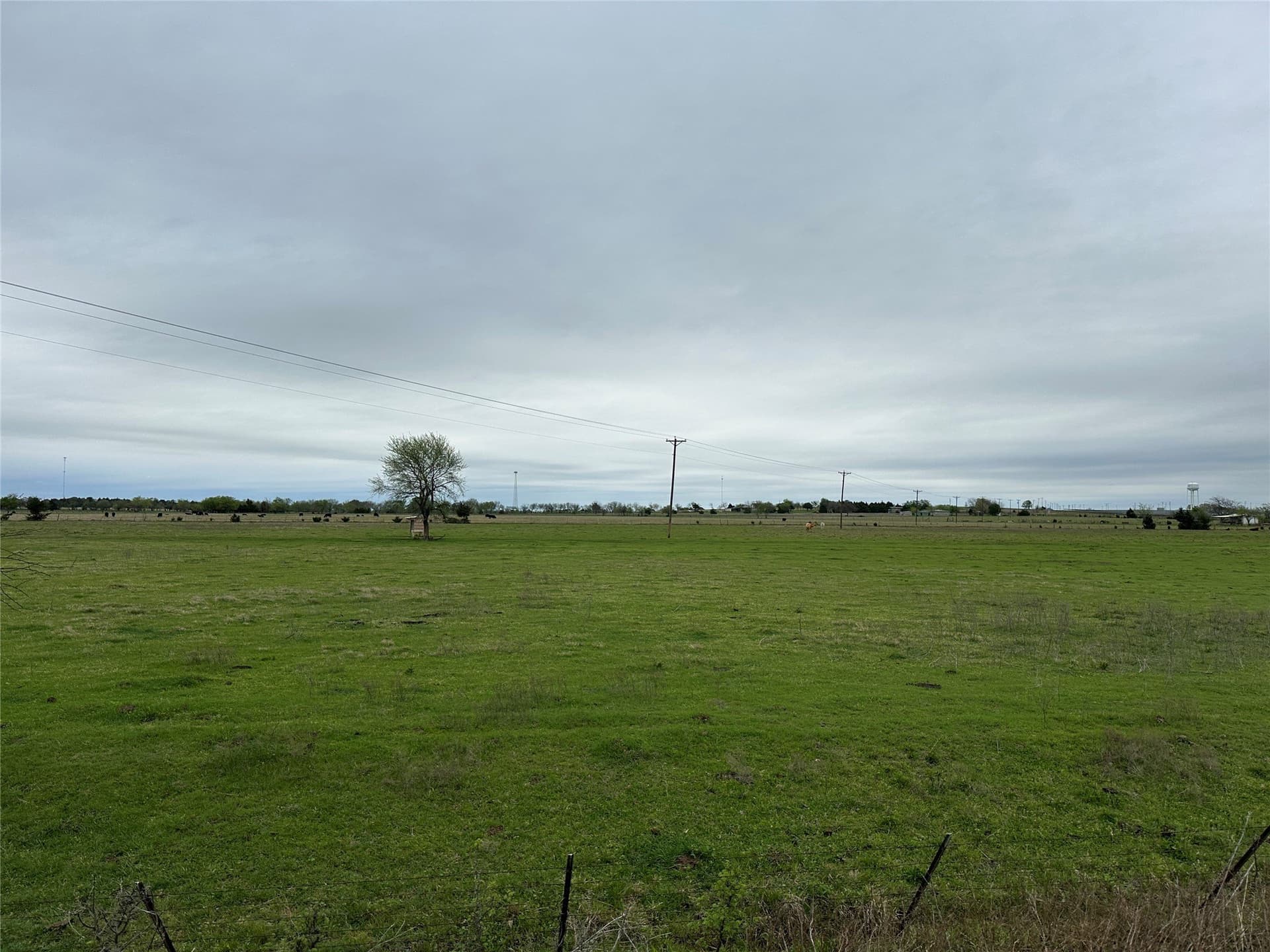 50 acres in Grayson County - photo 3