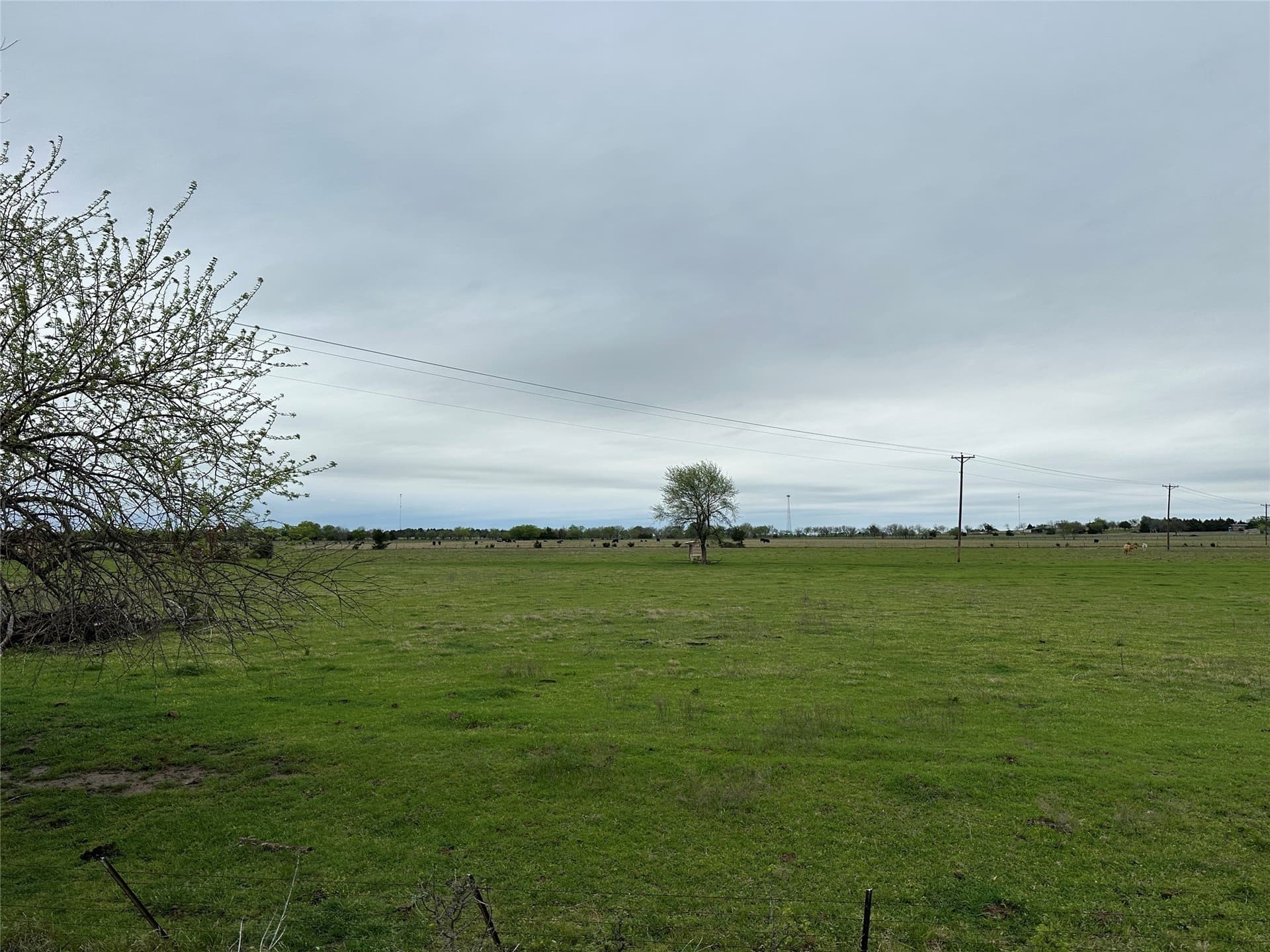 50 acres in Grayson County