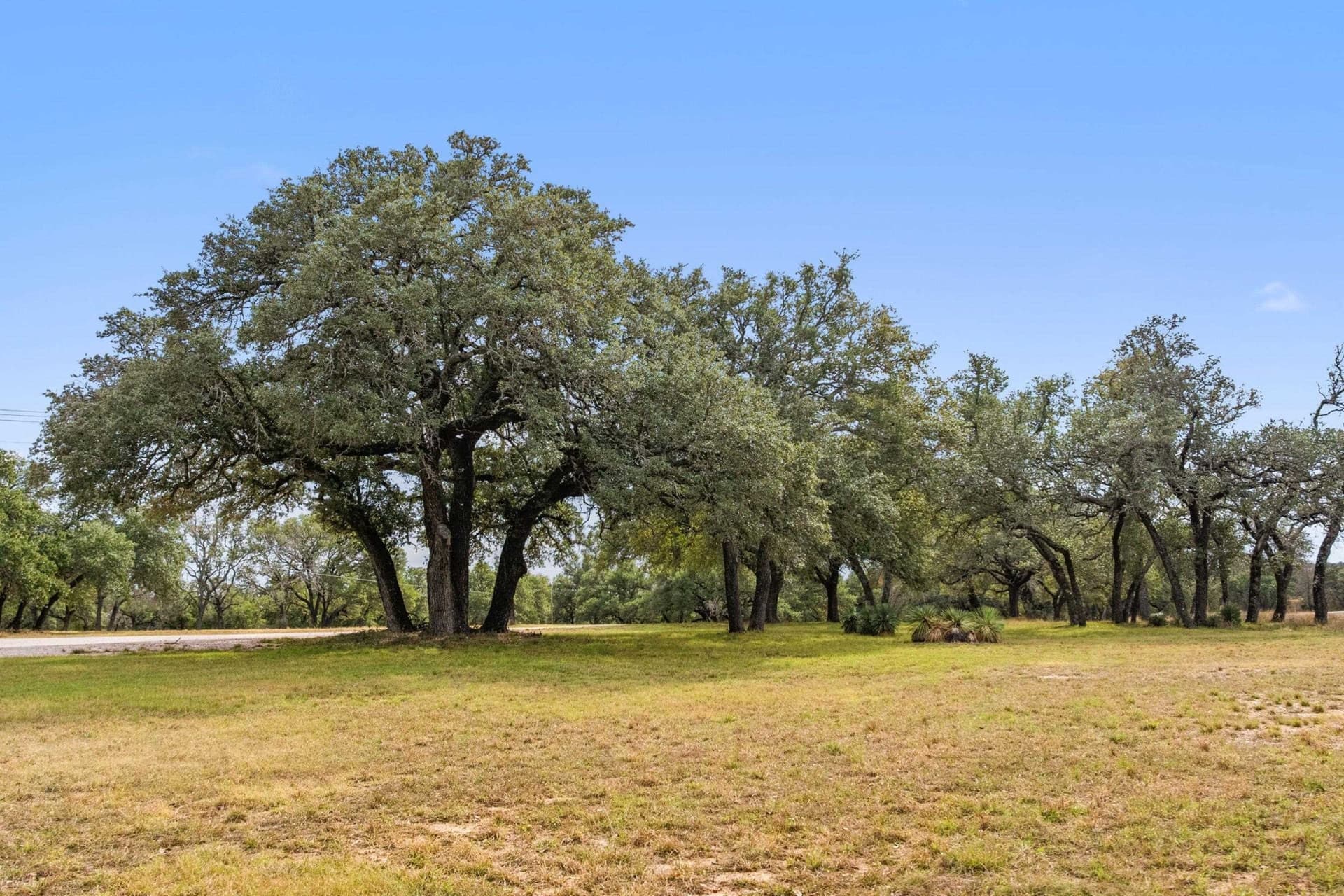 14.55 acres in Blanco County - photo 24