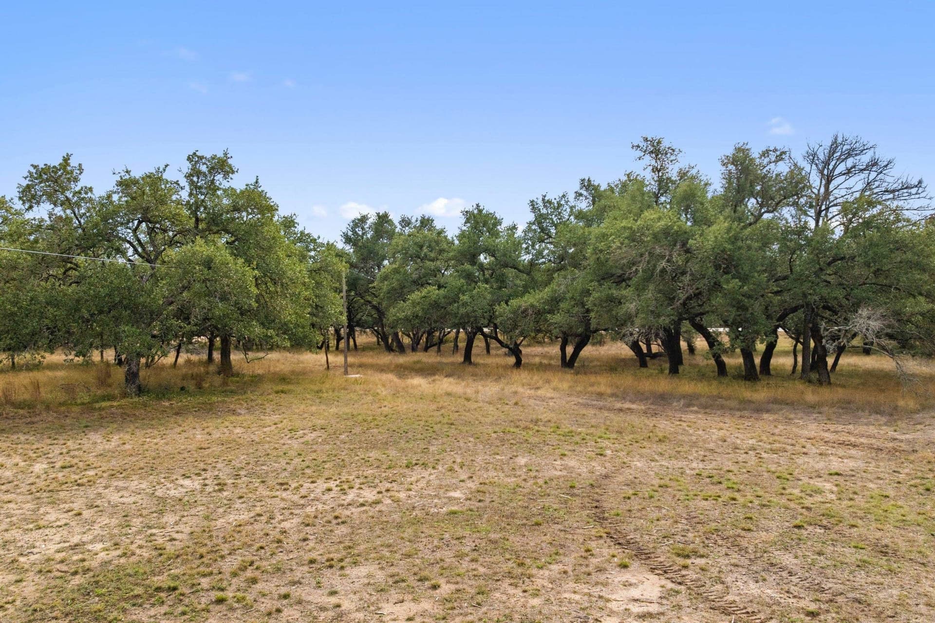 14.55 acres in Blanco County - photo 26