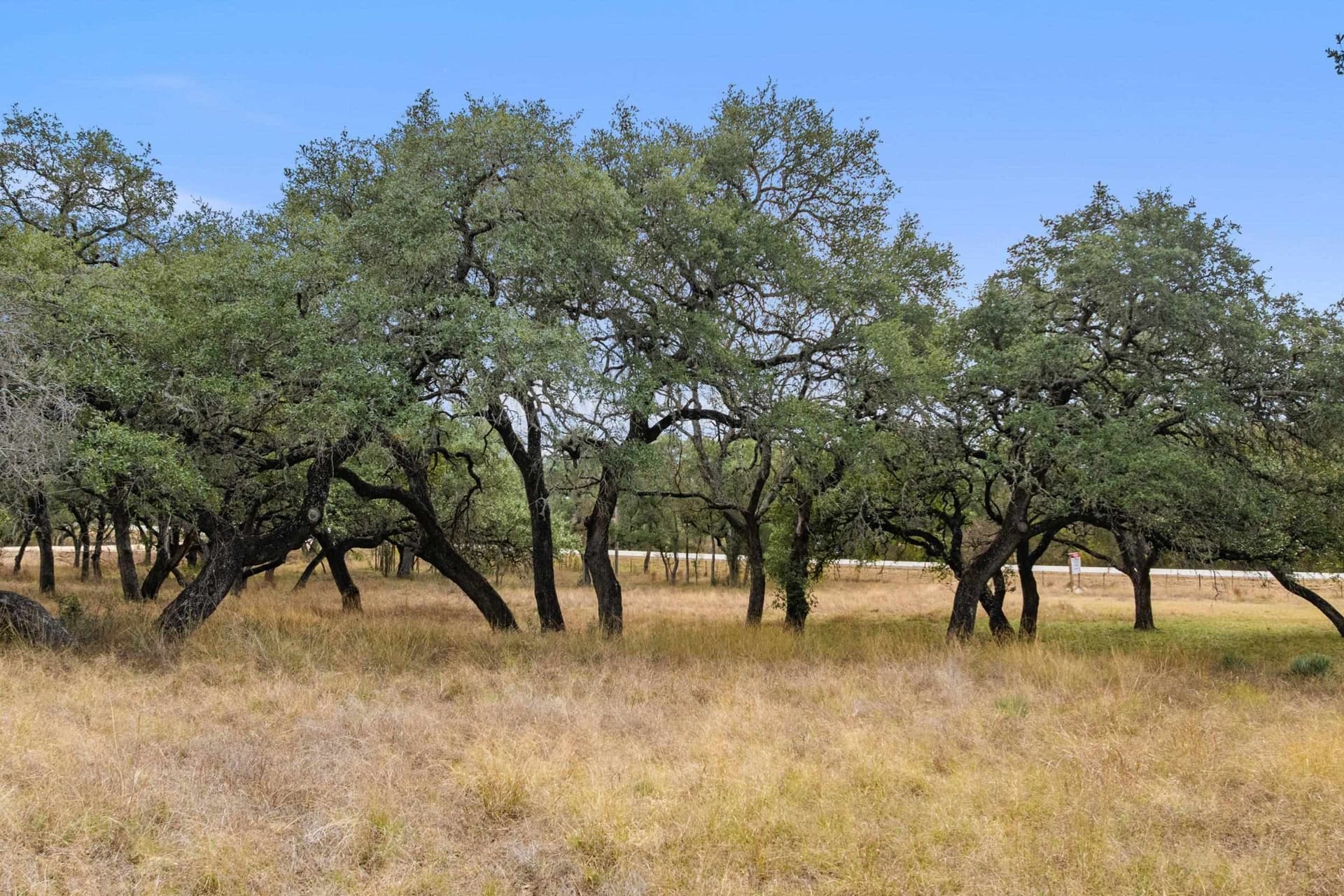 14.55 acres in Blanco County - photo 28