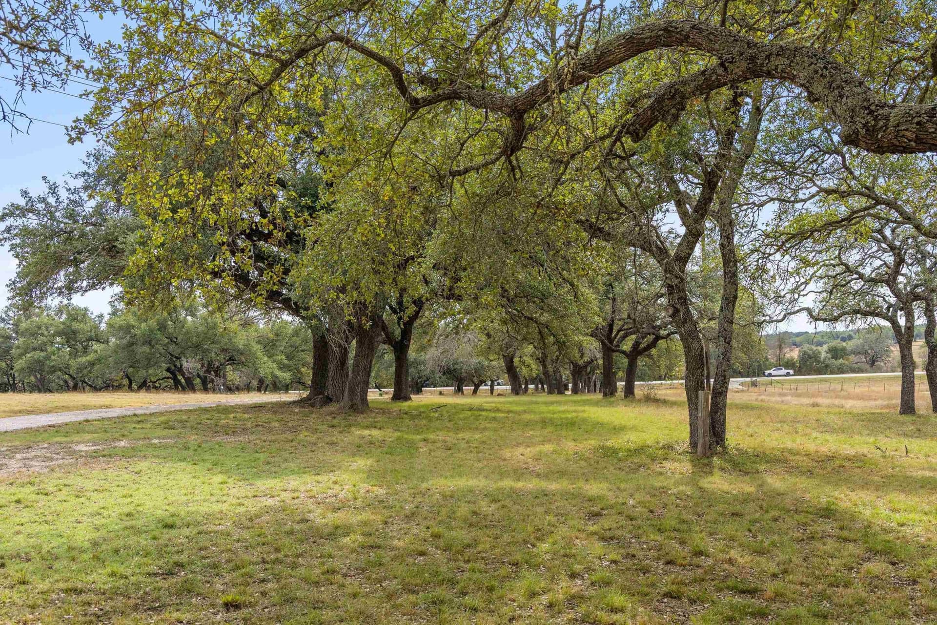 14.55 acres in Blanco County - photo 27