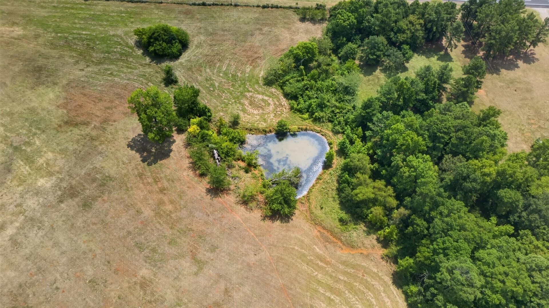 79.9 acres in Anderson County - photo 13