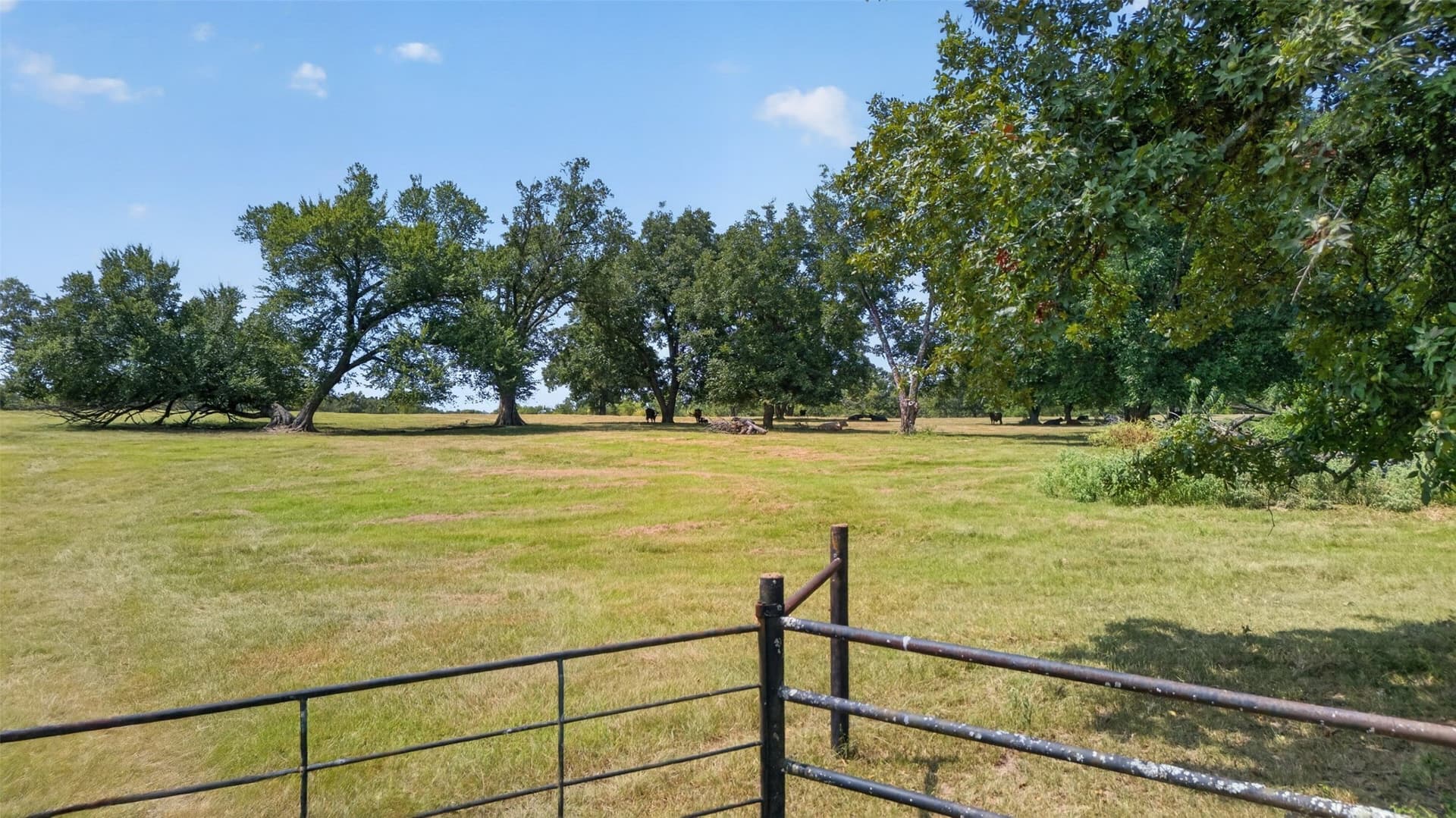 79.9 acres in Anderson County - photo 18