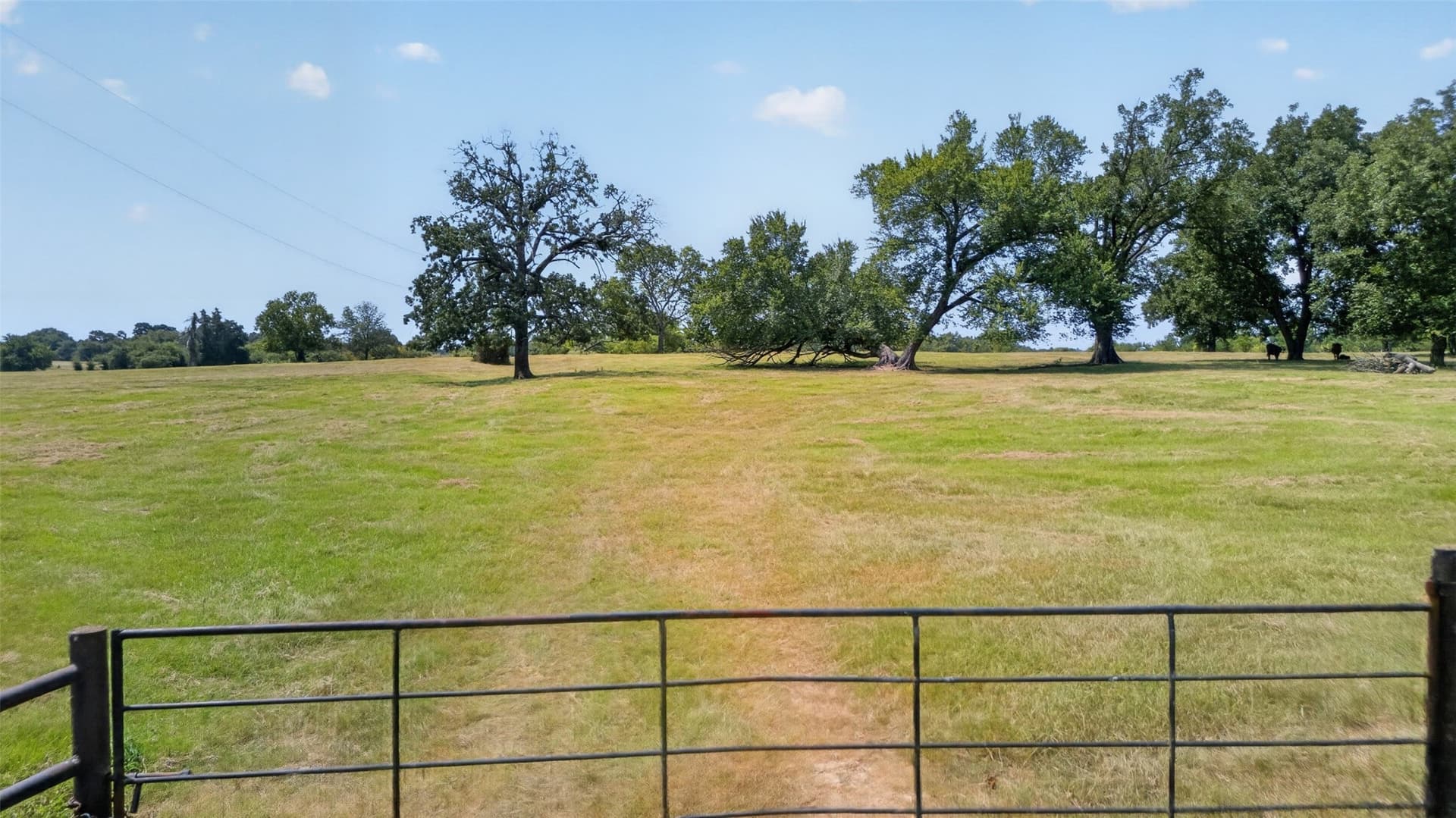 79.9 acres in Anderson County - photo 2