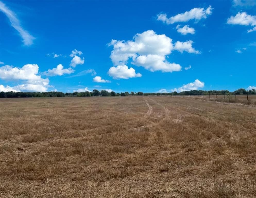 20 acres in Rains County featured view