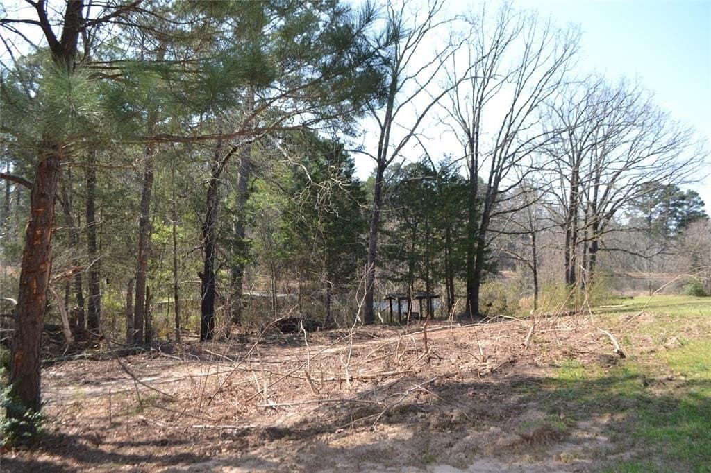 0.48 acres in Wood County gallery image 2