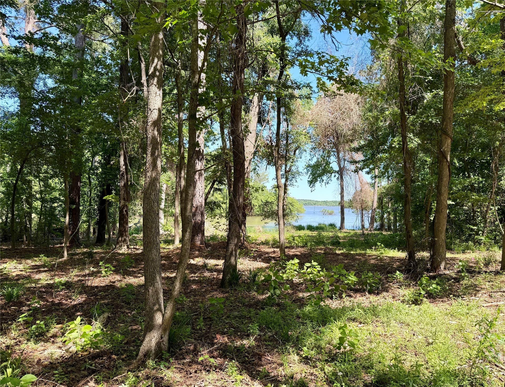 1.25 acres in Henderson County
