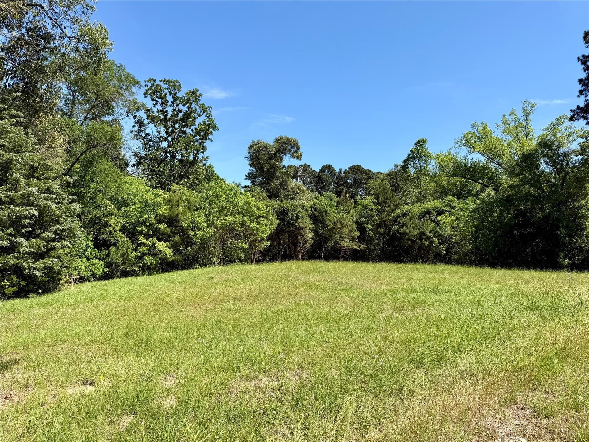 1.25 acres in Henderson County gallery image 3