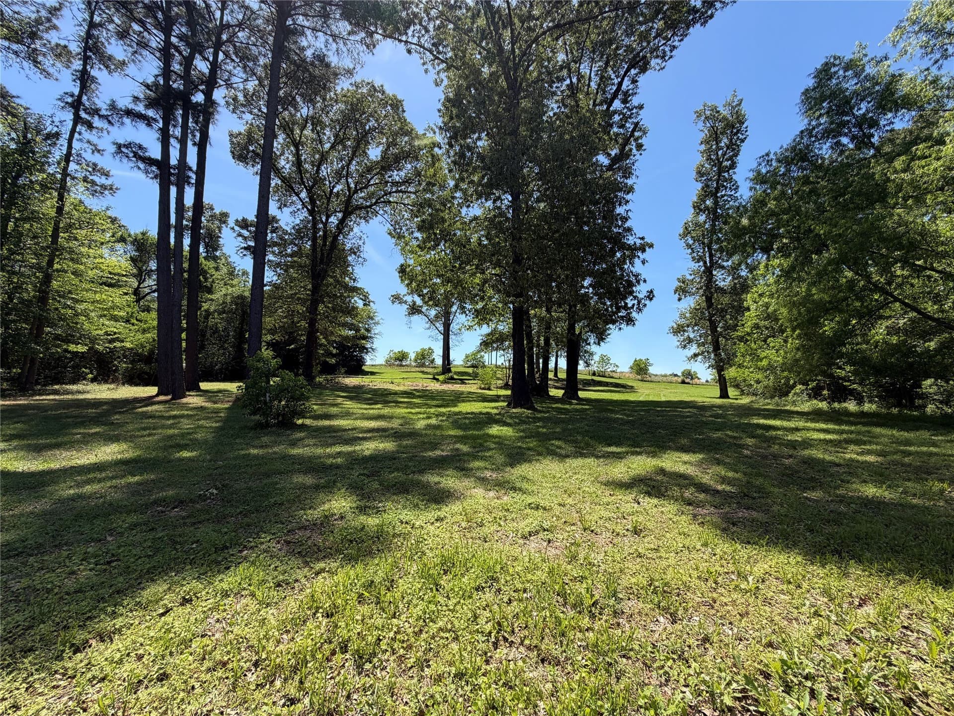 1.25 acres in Henderson County gallery image 2