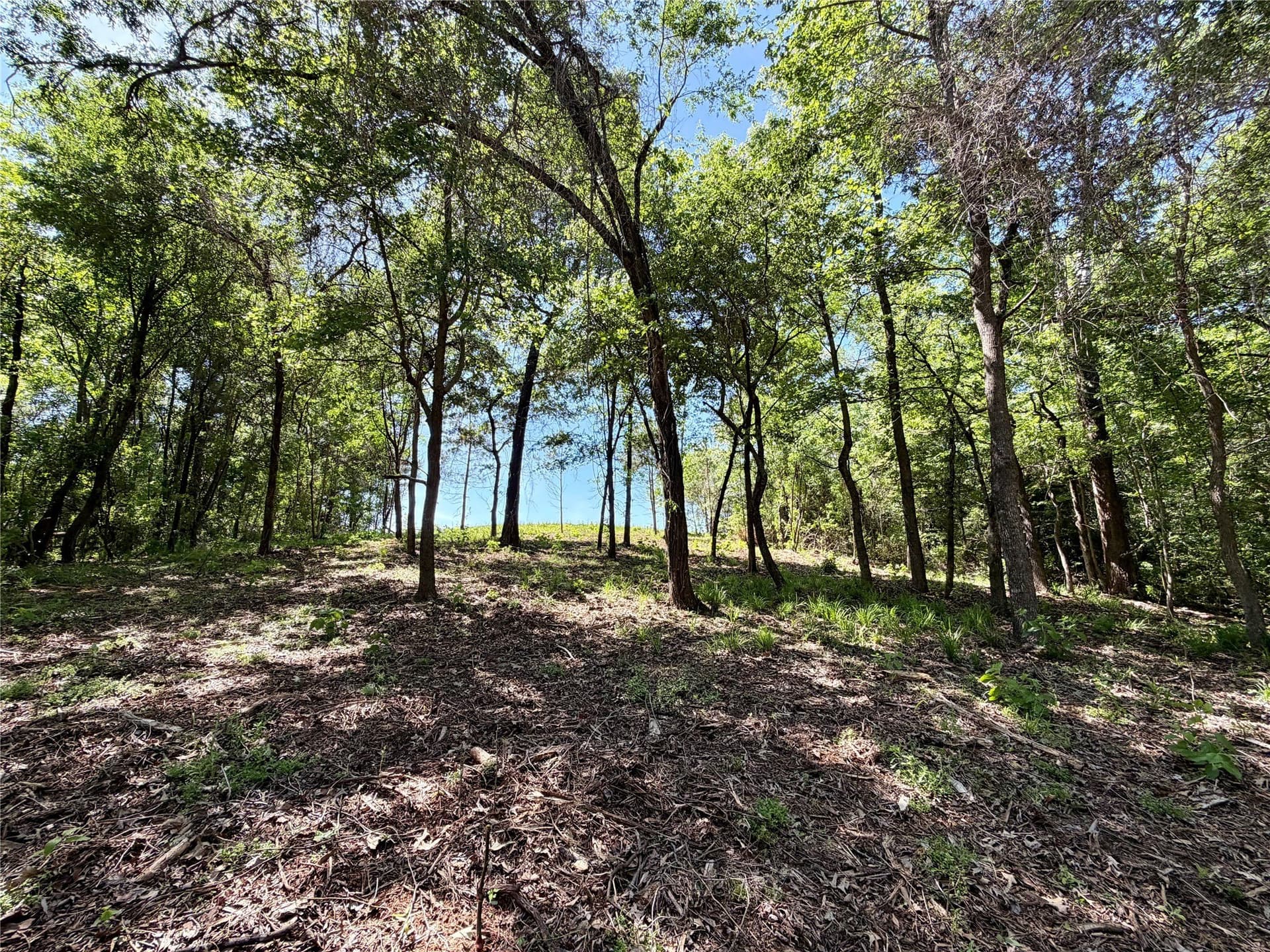 1.25 acres in Henderson County featured view