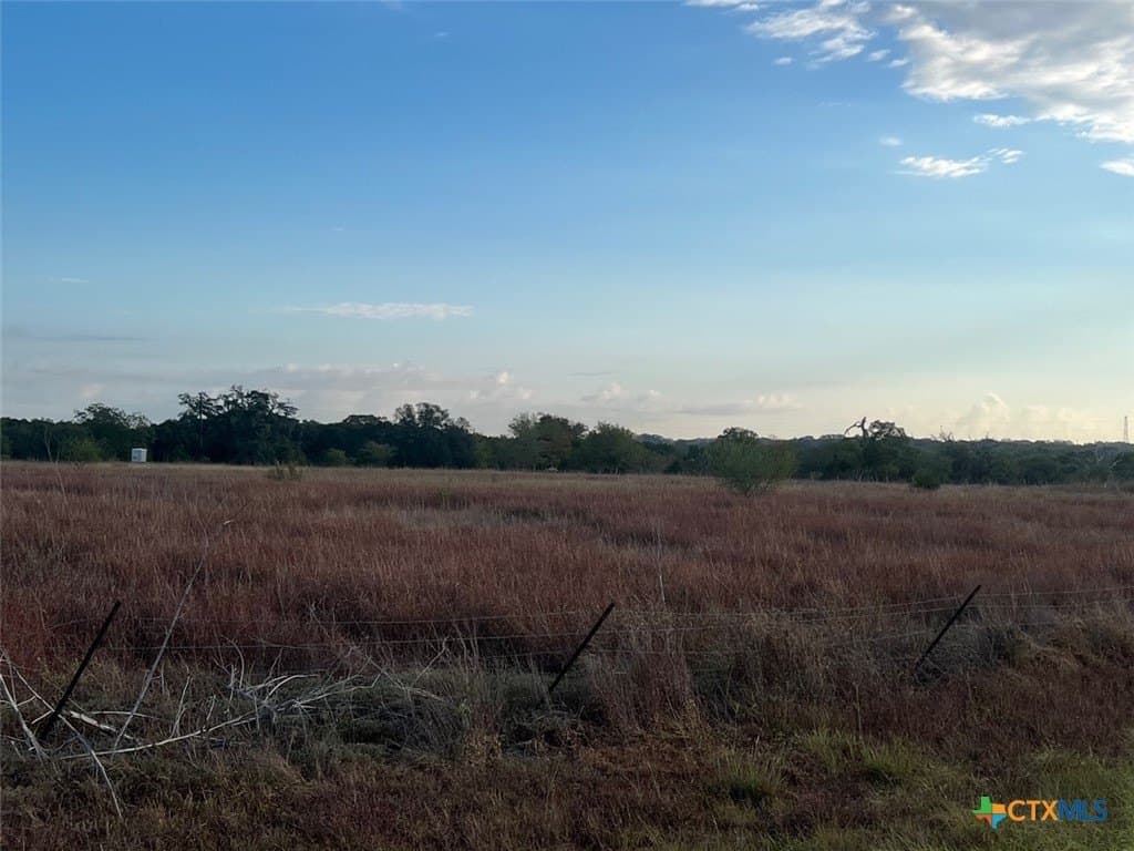 45 acres in Colorado County gallery image 4