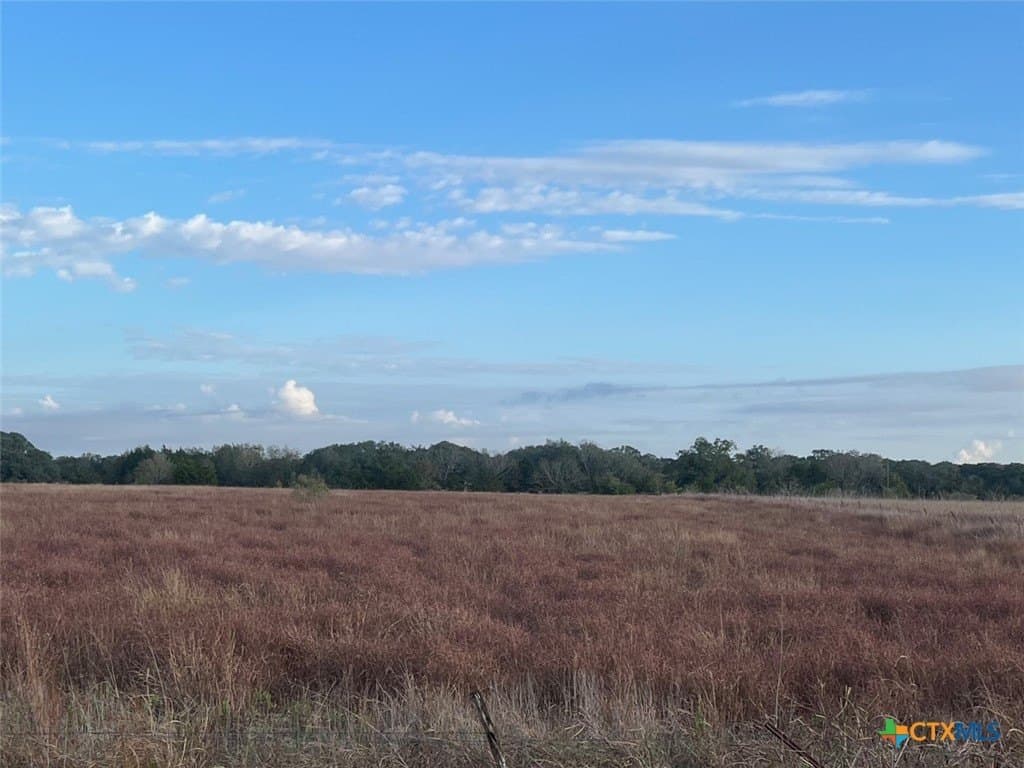 45 acres in Colorado County gallery image 3