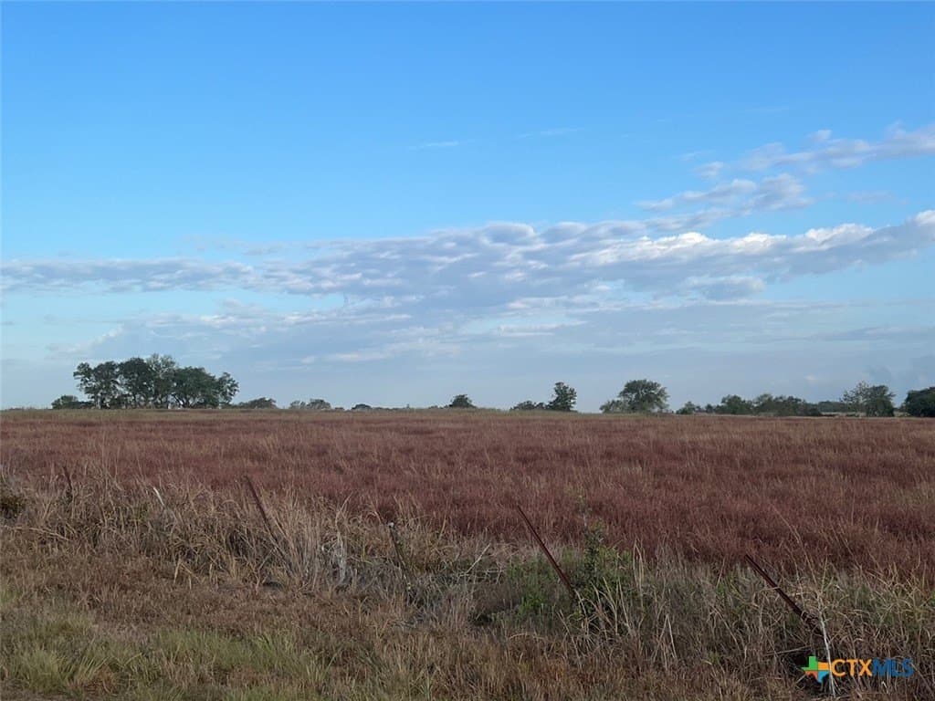 45 acres in Colorado County gallery image 2