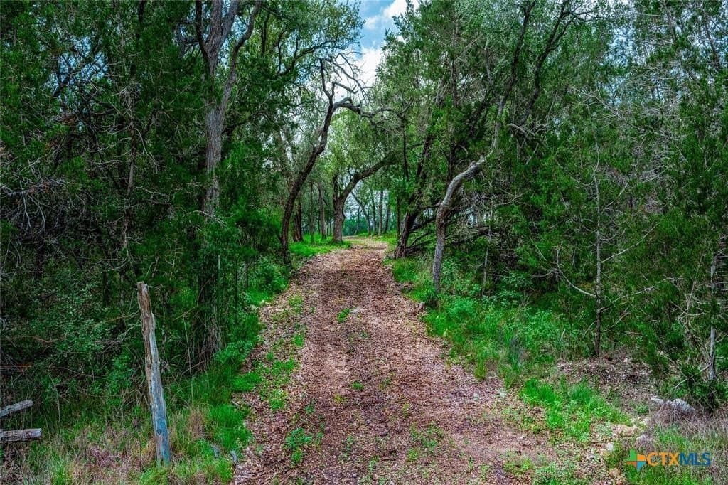 19 acres in Hays County - photo 9
