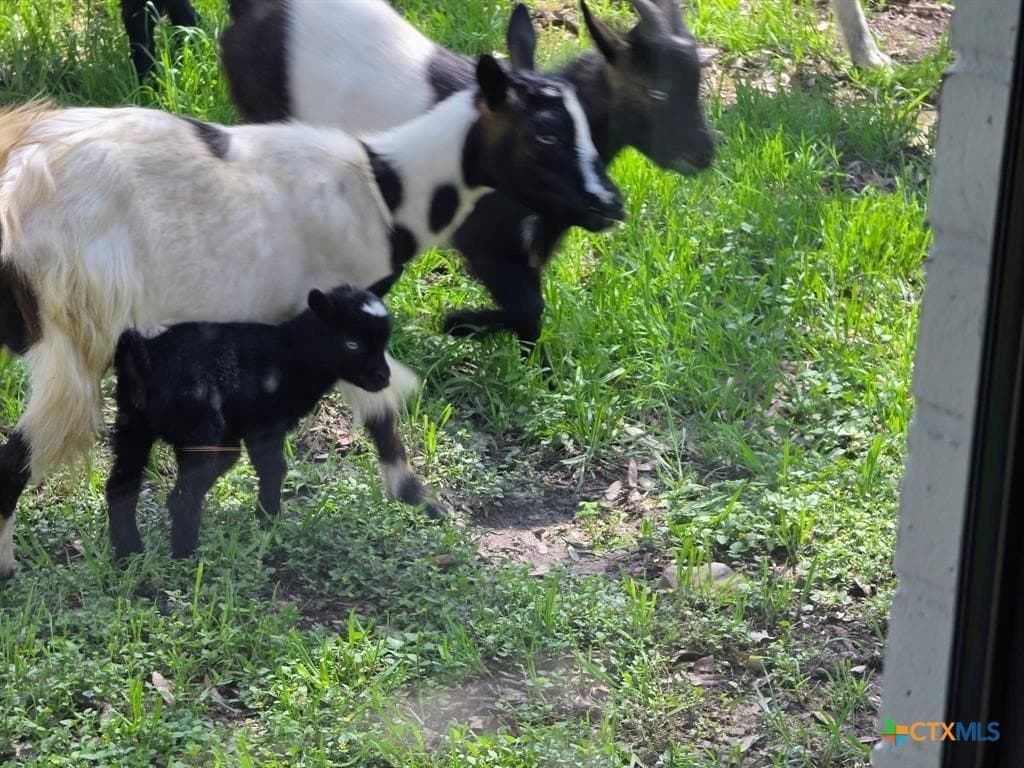 19 acres in Hays County - photo 24