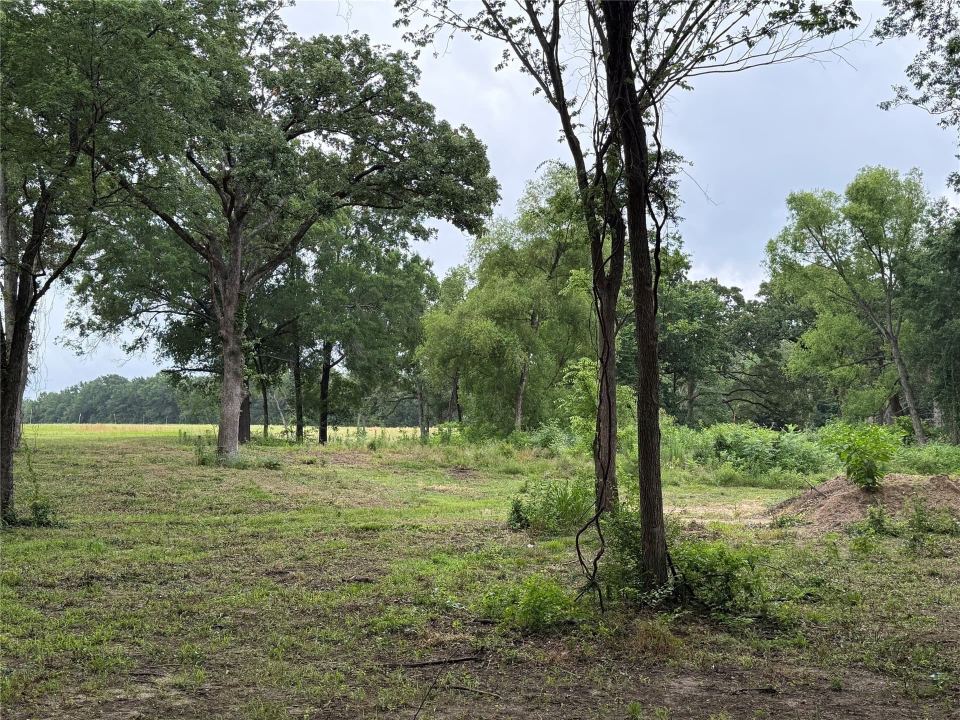 1.89 acres in Van Zandt County gallery image 4