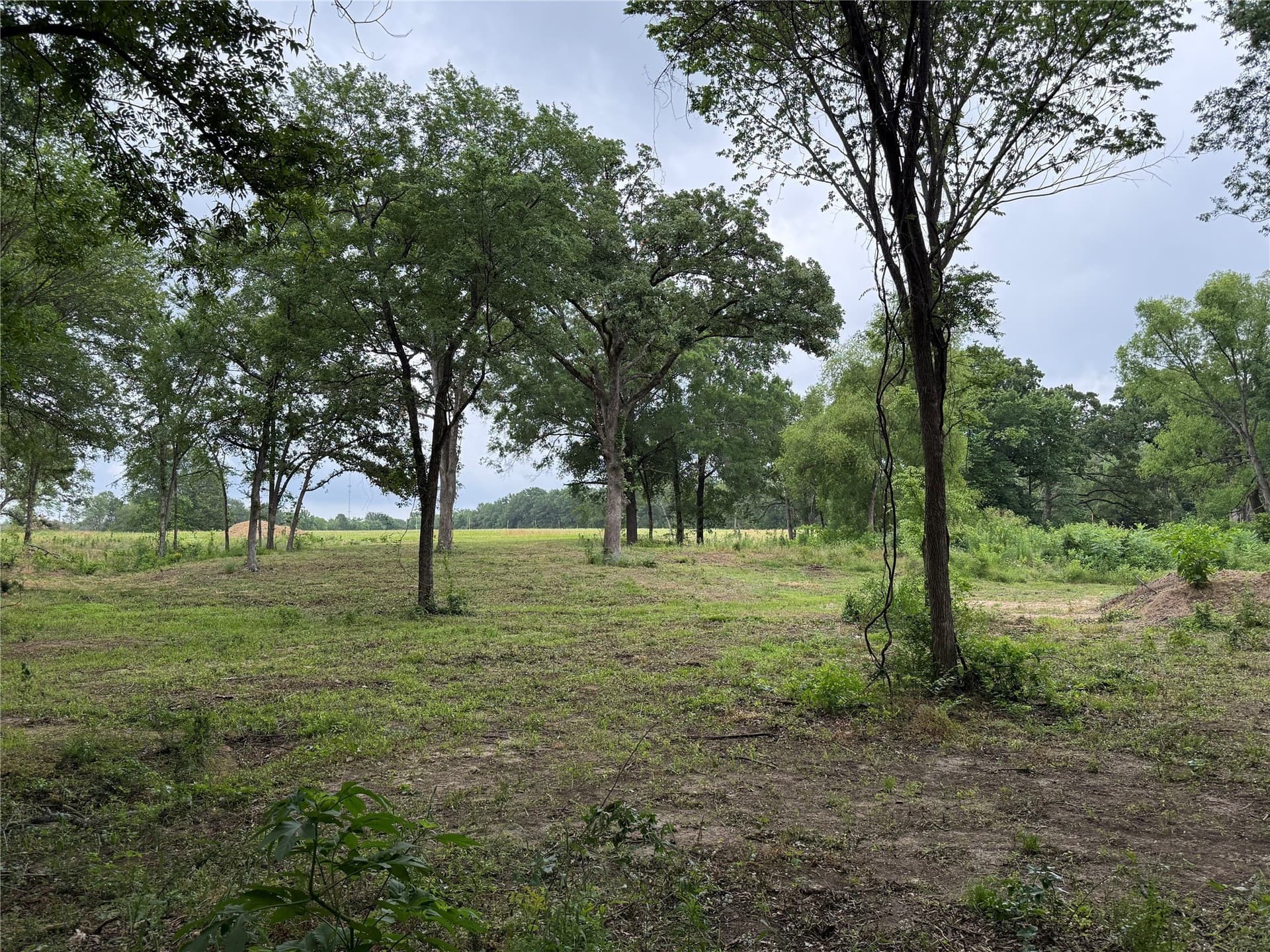 1.89 acres in Van Zandt County gallery image 3