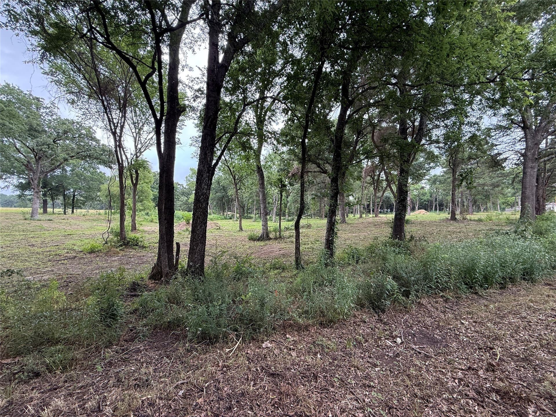 1.89 acres in Van Zandt County gallery image 2