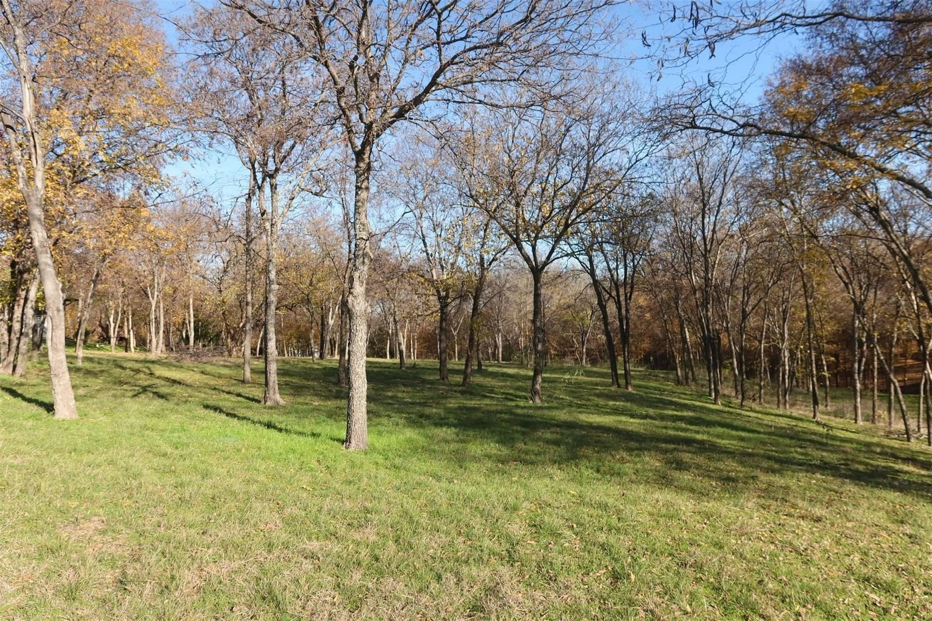 1.85 acres in Denton County - photo 6