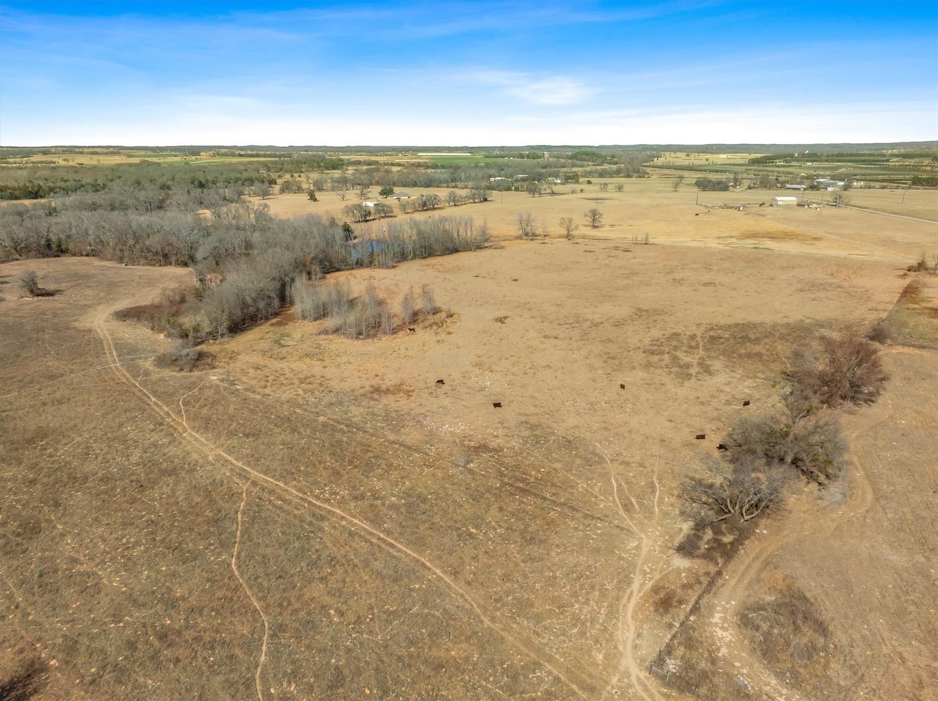 13 acres in Van Zandt County - photo 6
