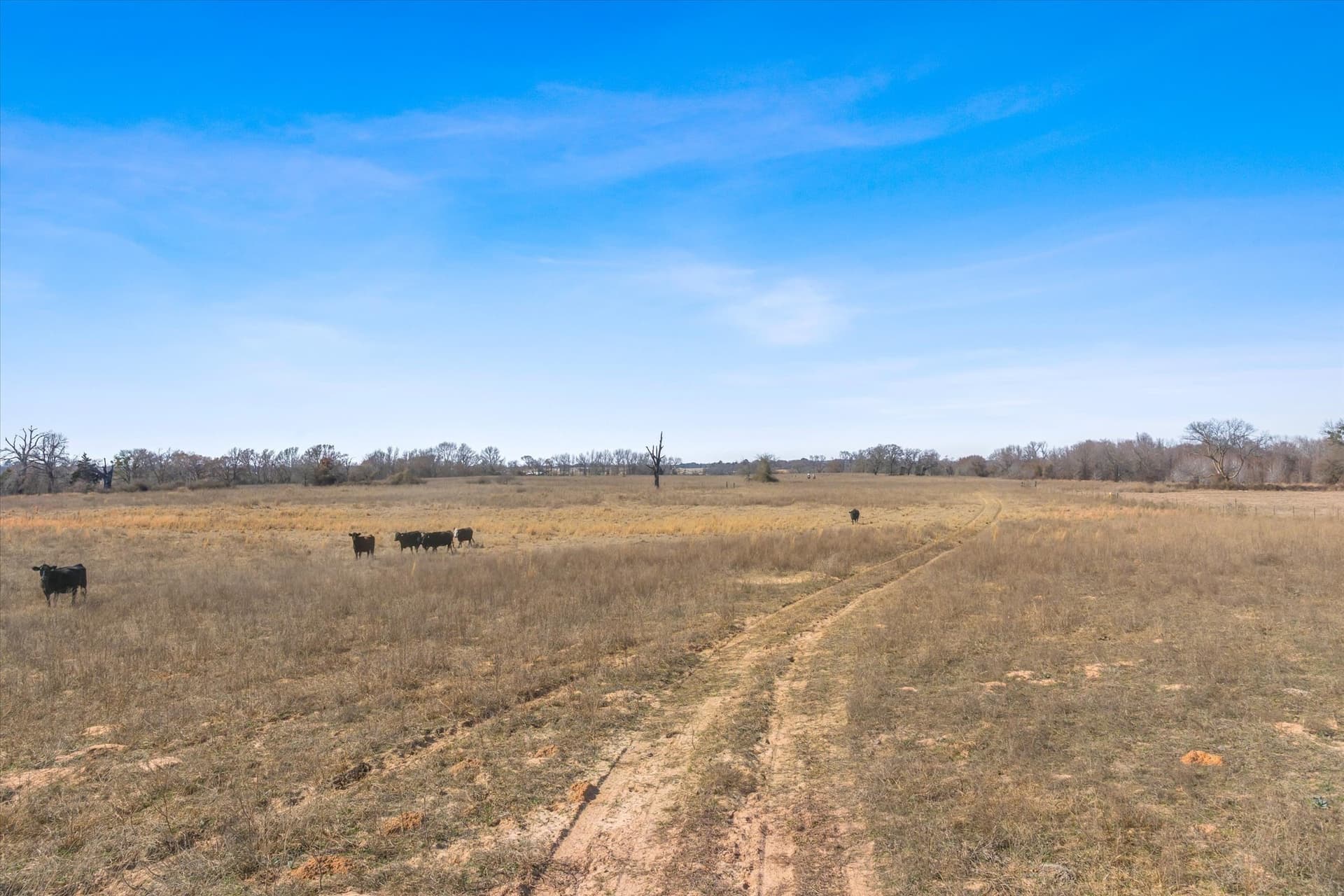 13 acres in Van Zandt County - photo 15