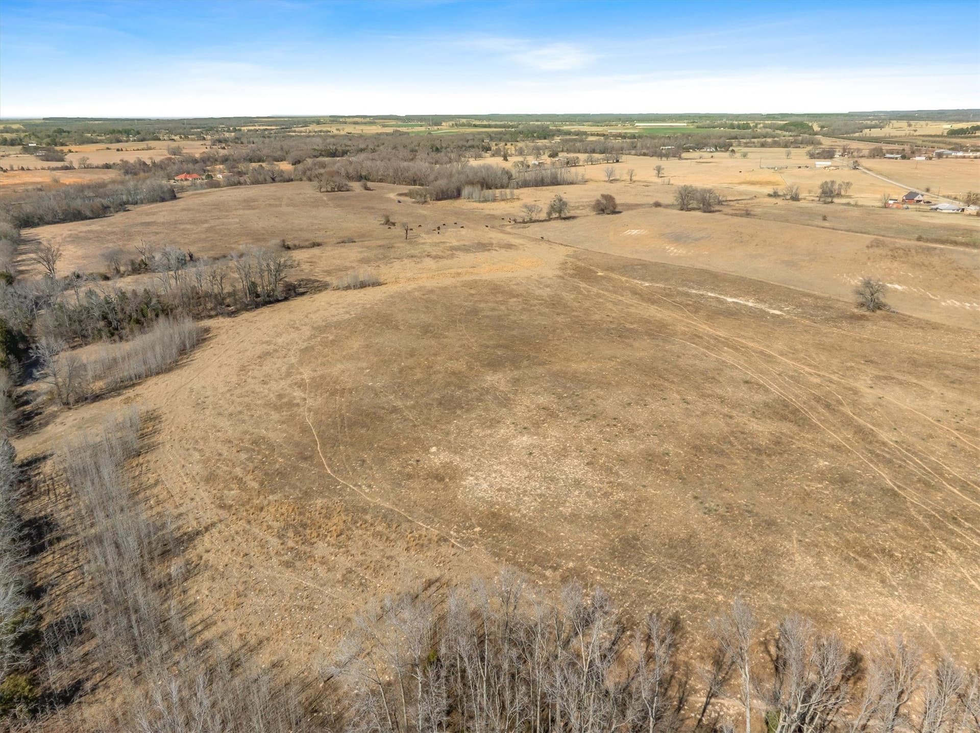 13 acres in Van Zandt County - photo 10