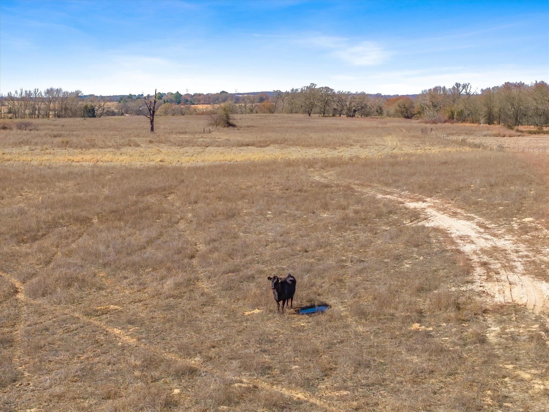 13 acres in Van Zandt County - photo 13