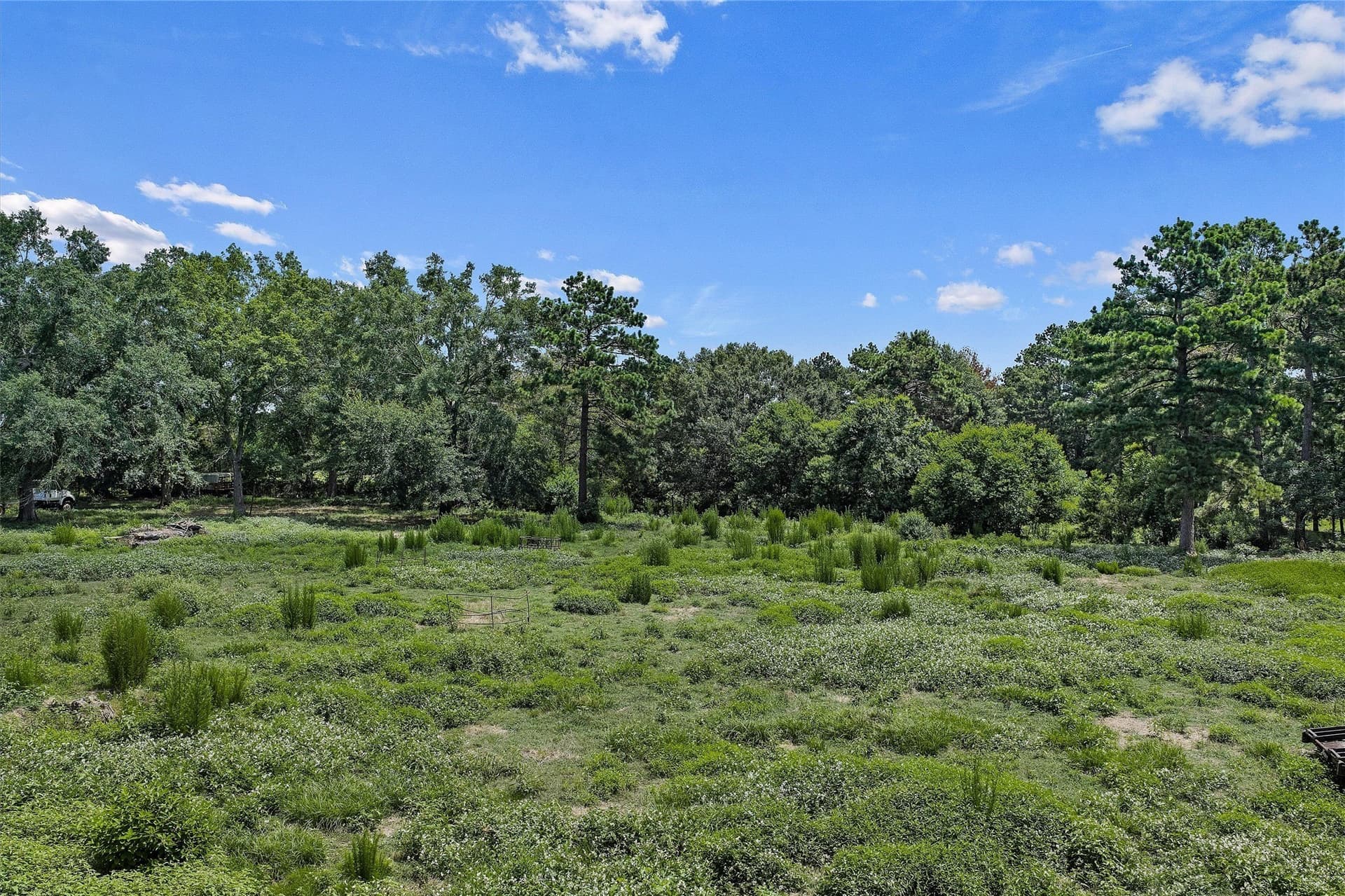 161.97 acres in Shelby County - photo 22