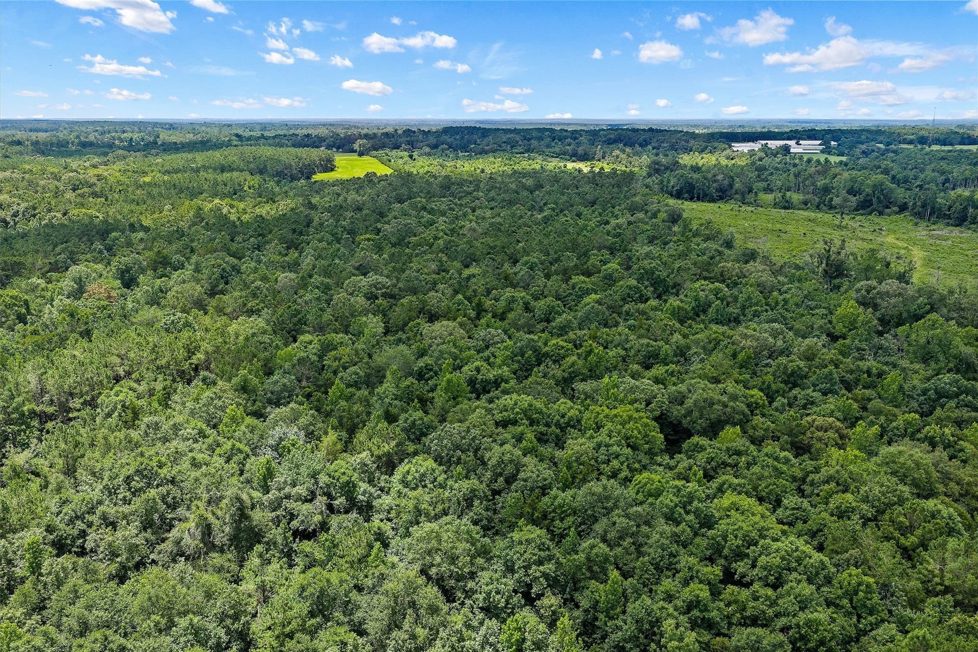 161.97 acres in Shelby County - photo 16