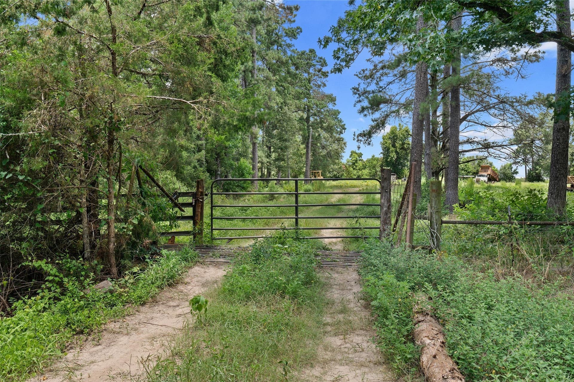 161.97 acres in Shelby County - photo 3